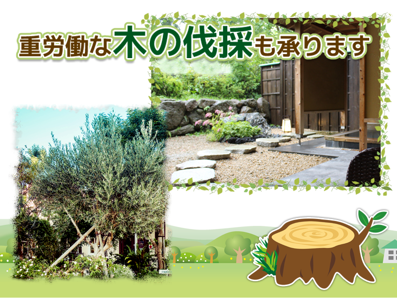 重労働な木の伐採も承ります